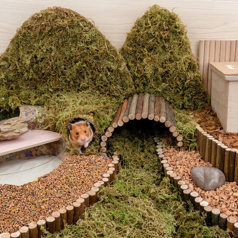 Oak Cork Hamster Bedding Dust Free Landscaping Supplies For Pet Care