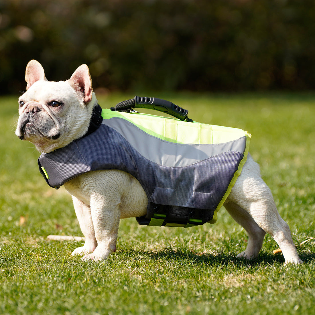 Reflective Pet Life Jacket Swimsuit Safety Swimming Vest