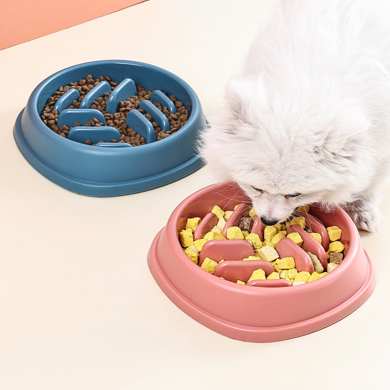 Slow Feeder Pet Bowl Anti Choking Large Capacity Food Dish