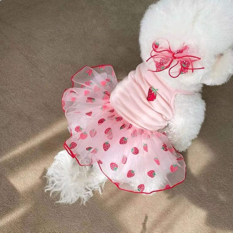 Pet Cute Mesh Strawberry Strap Dress Lightweight Apparel