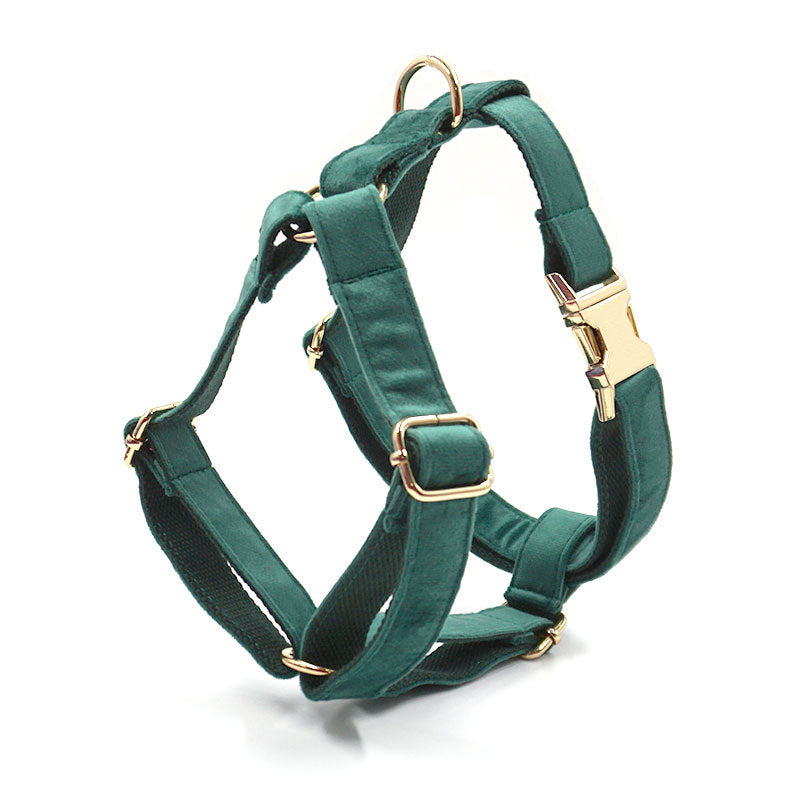Pet Green Velvet Collar Leash Accessories
