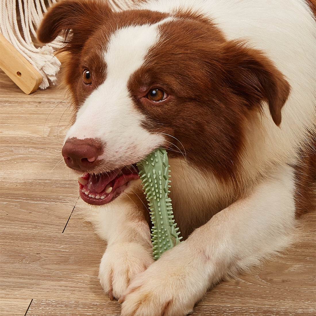 Chew Toys for Pets Teeth Cleaning