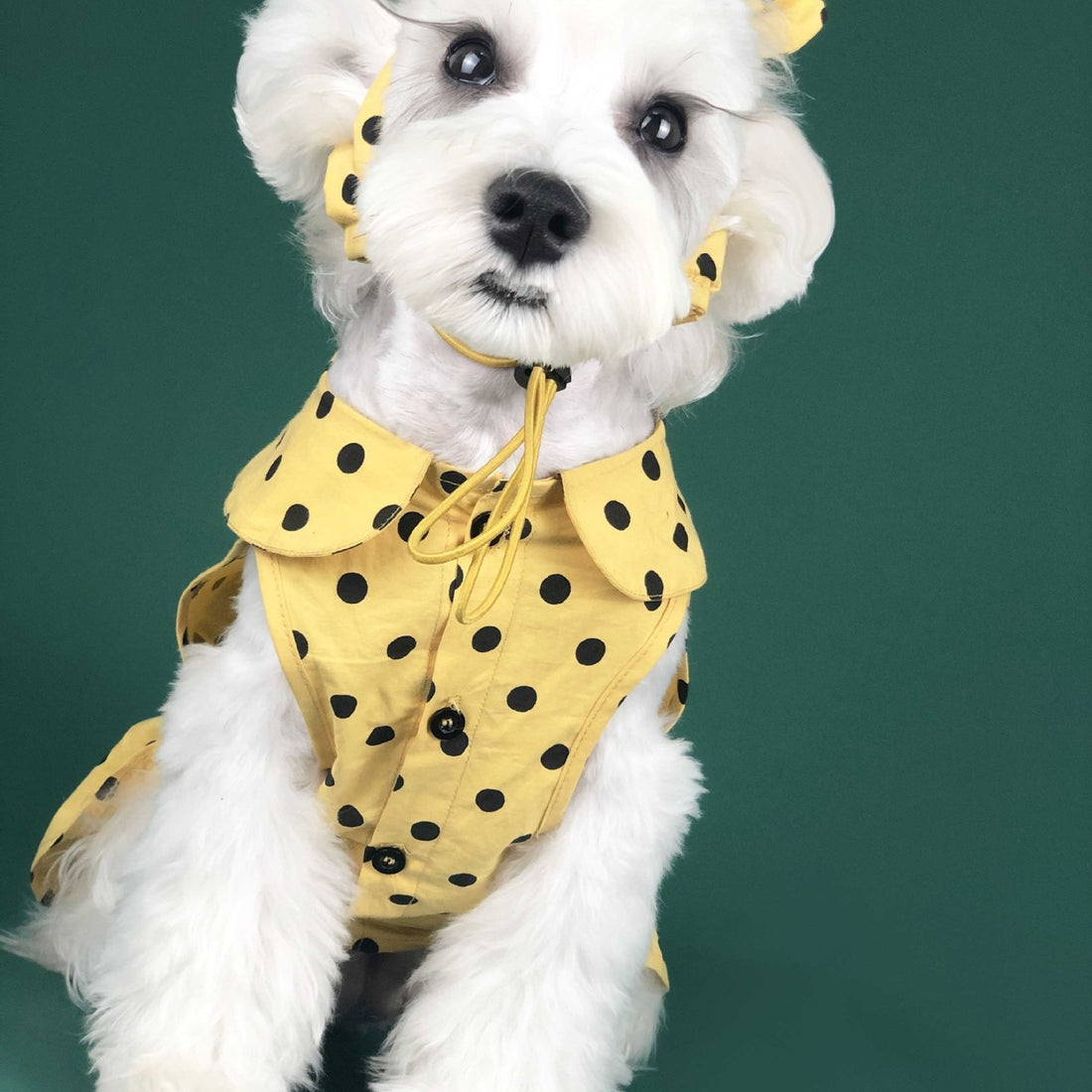 Summer Thin Cute Princess Dress For Pet Wear