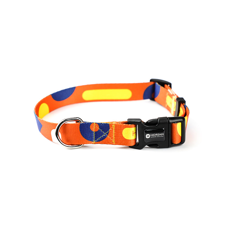 Pet Collar Leash Adjustable Walking Lead Set