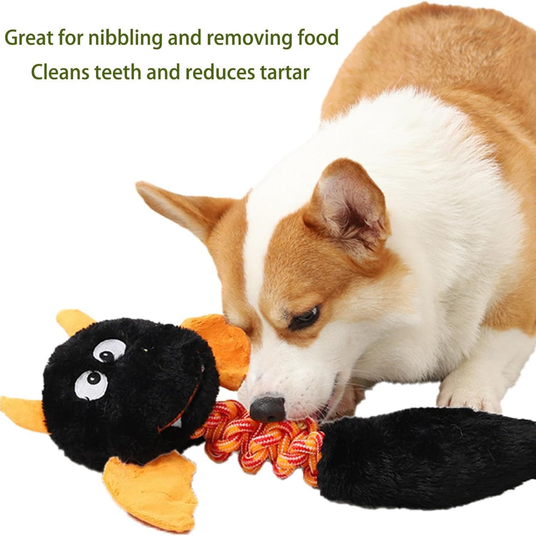 Plush Squeaky Interactive Pet Toy For Small And Large Pets