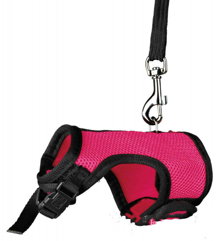 Adjustable Pet Leash Lightweight Durable Comfortable Walking Lead