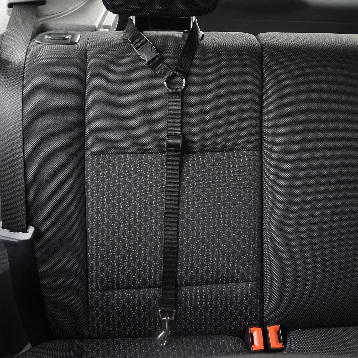 Pet Safety Control Leash Adjustable Walking Lead