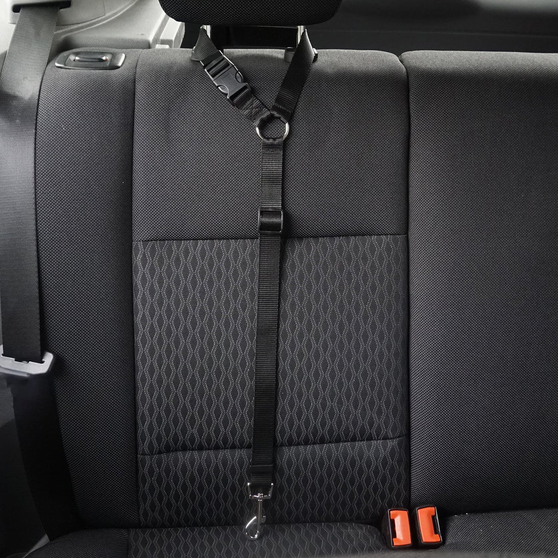 Pet Safety Control Leash Adjustable Walking Lead