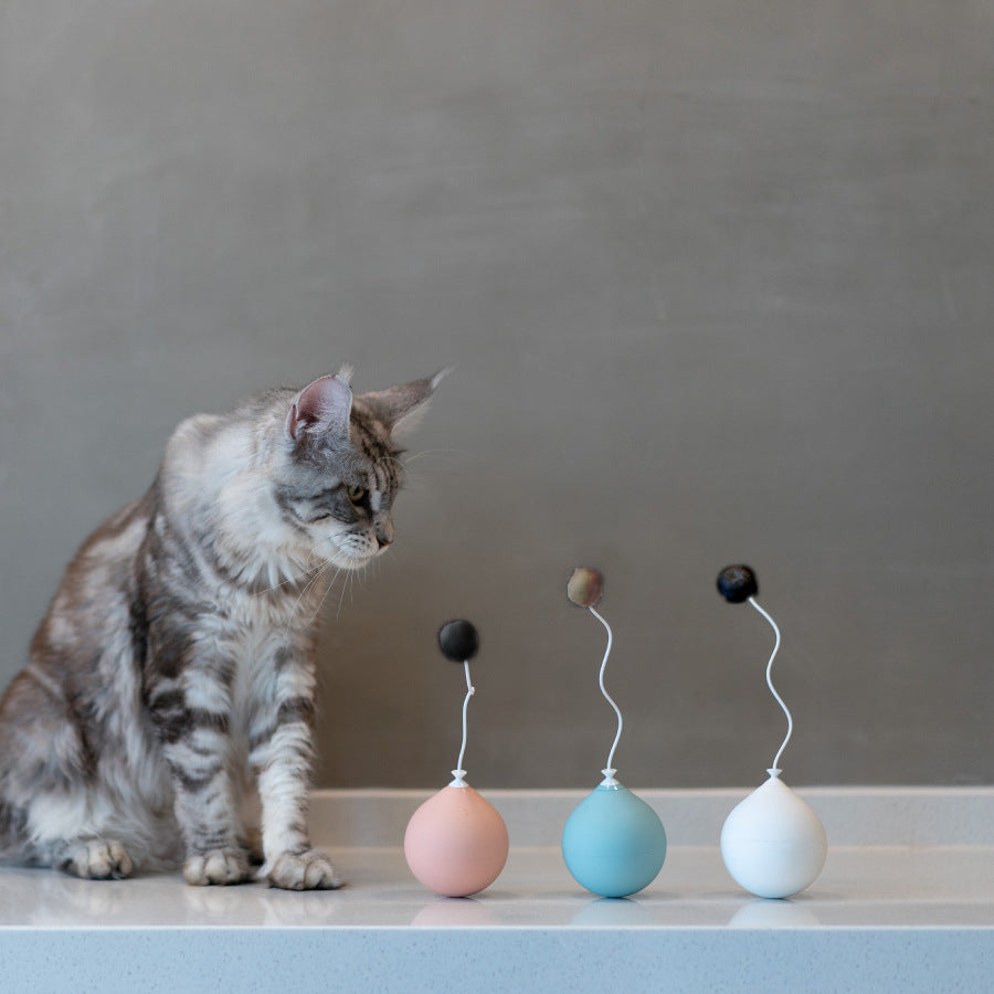 Funny Electric Interactive Pet Toy