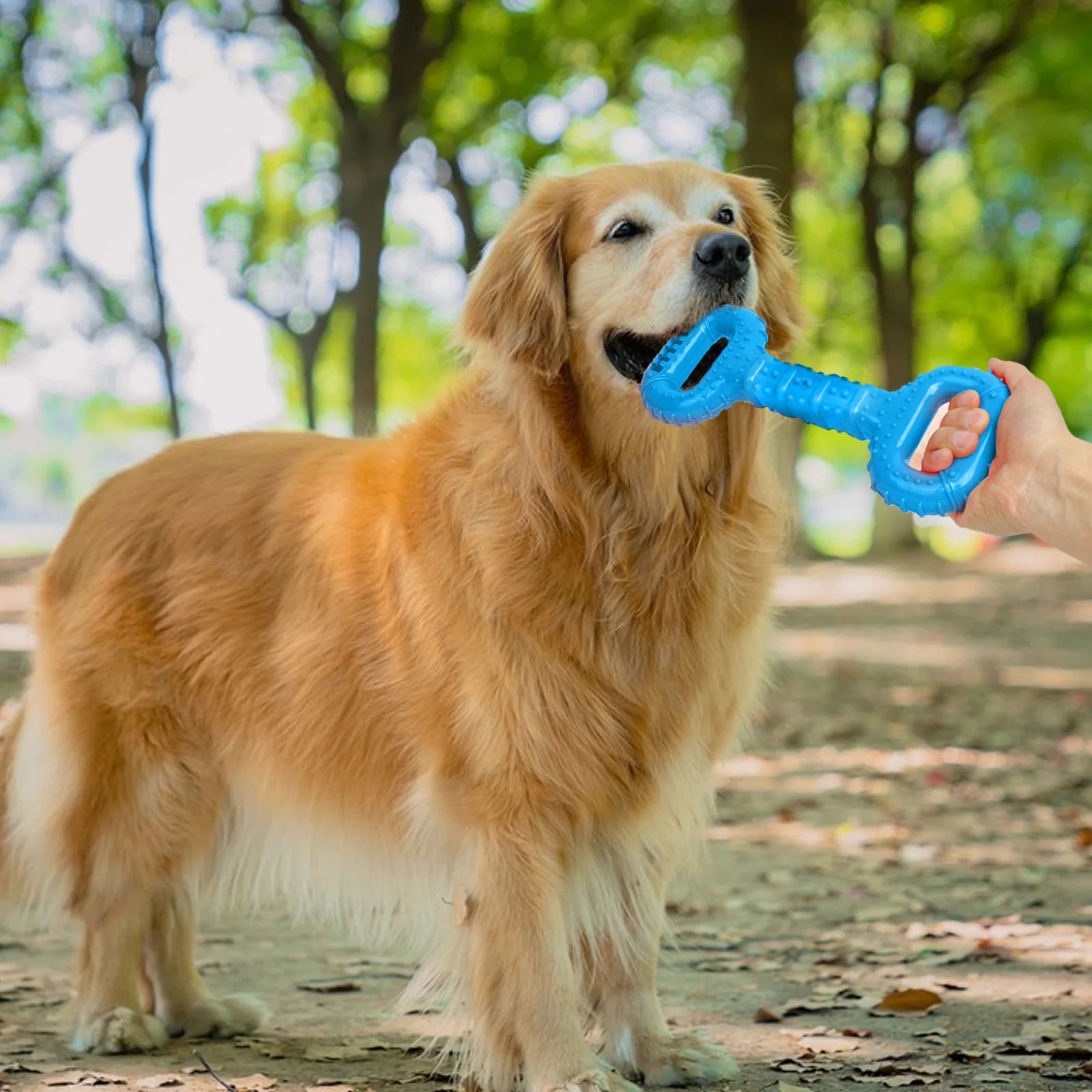 Durable Interactive Chew Bone Toys for Pets