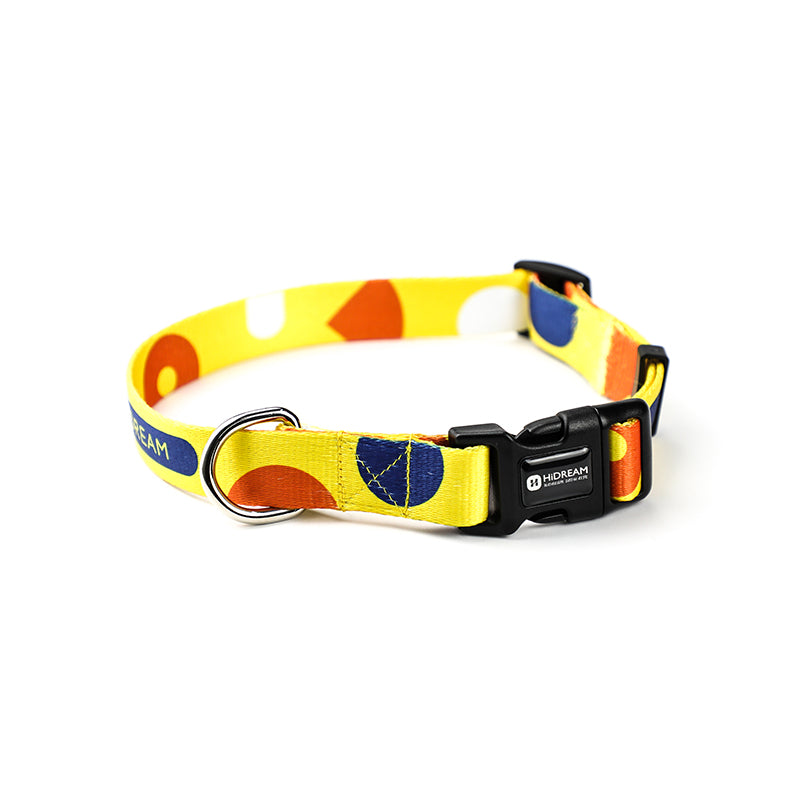 Pet Collar Leash Adjustable Walking Lead Set