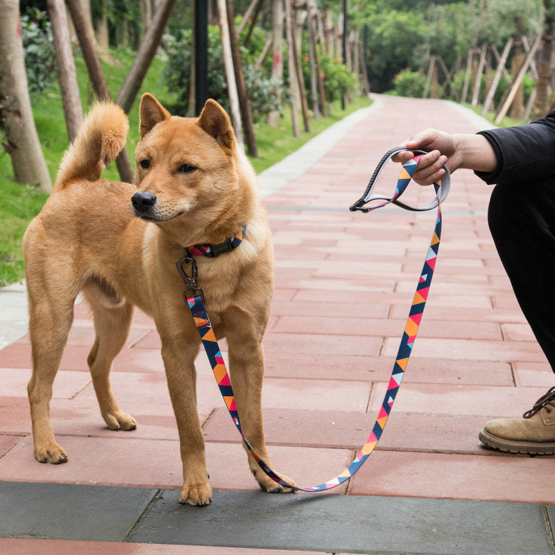 Pet Supplies Durable Adjustable Leash for Pets