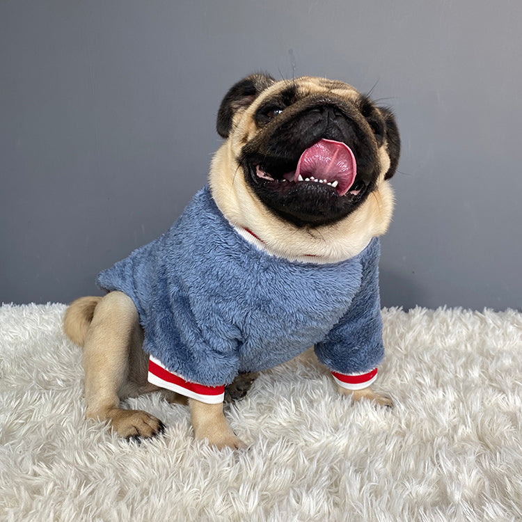 Pet Sweater Soft Warm Comfortable Everyday Clothing