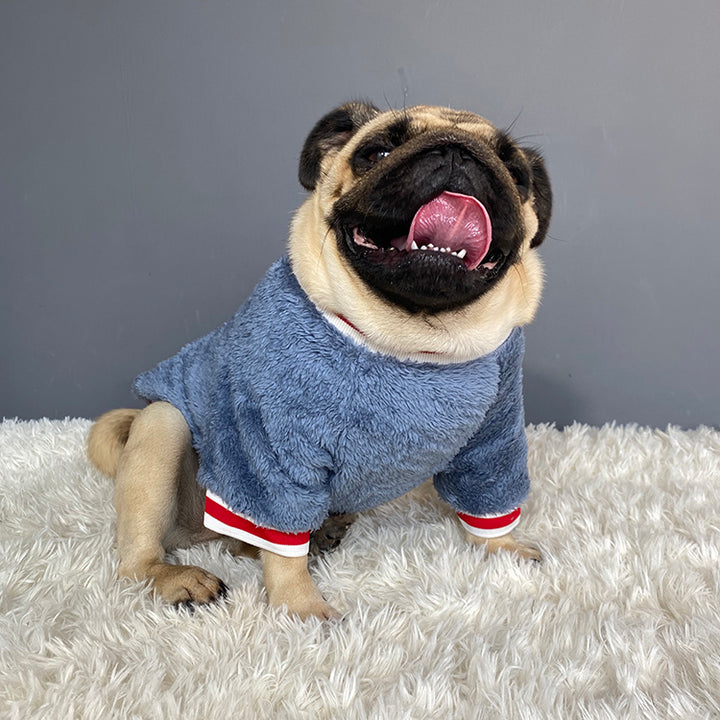 Pet Sweater Soft Warm Comfortable Everyday Clothing
