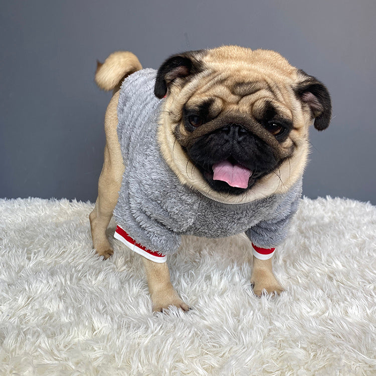 Pet Sweater Soft Warm Comfortable Everyday Clothing