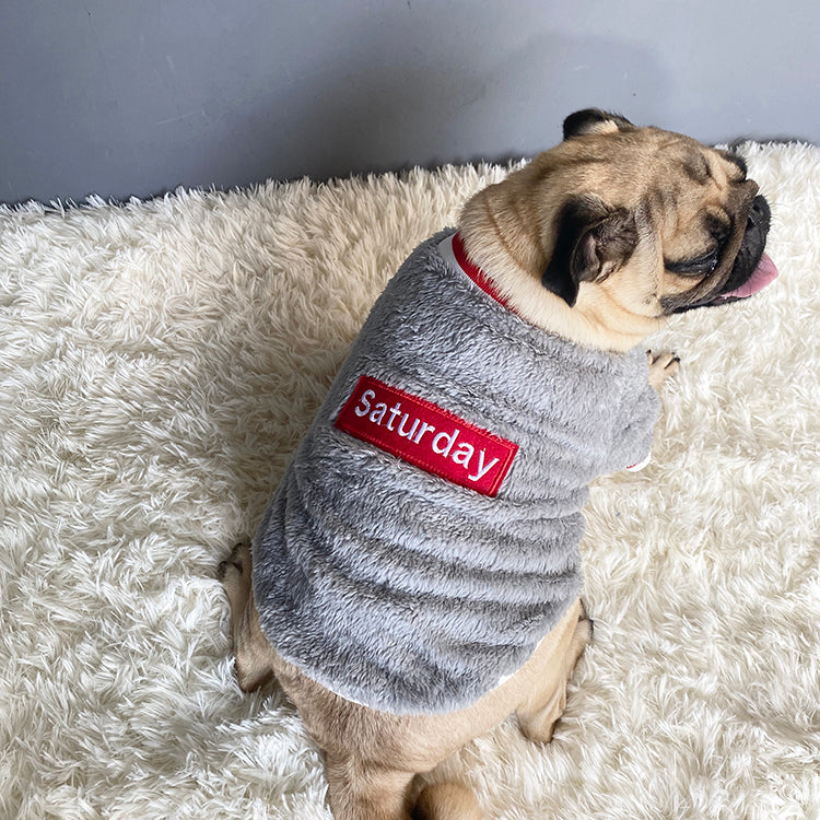 Pet Sweater Soft Warm Comfortable Everyday Clothing