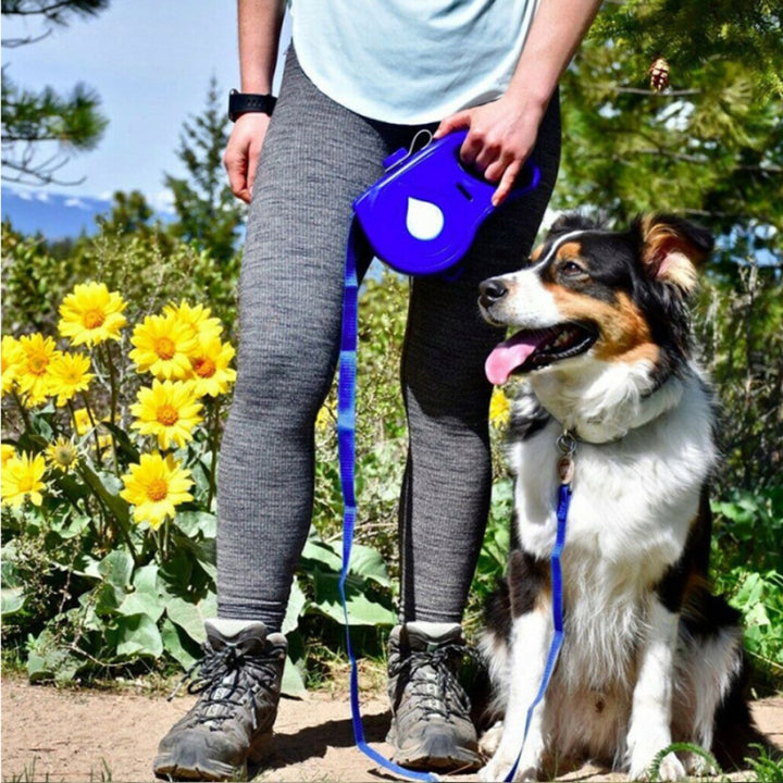 Multifunction Automatic Retractable Leash for Pets