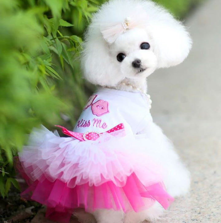 Princess Style Gauze Pet Dress For Pet Wear