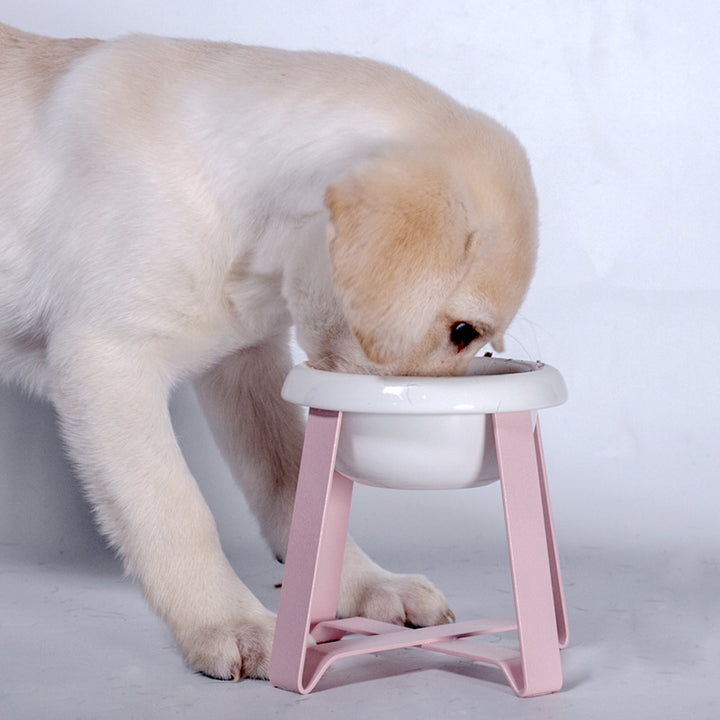 Pet 2-in-1 Anti-Slip Food and Water Bowl with Stand