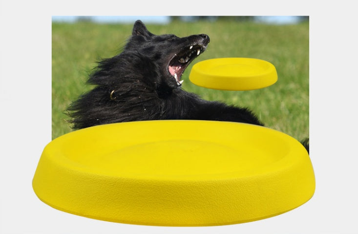 Pet Plastic Throwing Toys For Pet Play And Training