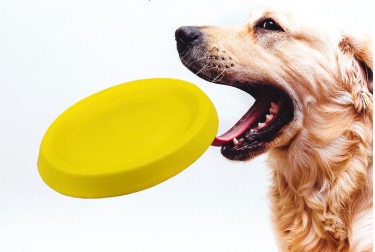 Pet Plastic Throwing Toys For Pet Play And Training