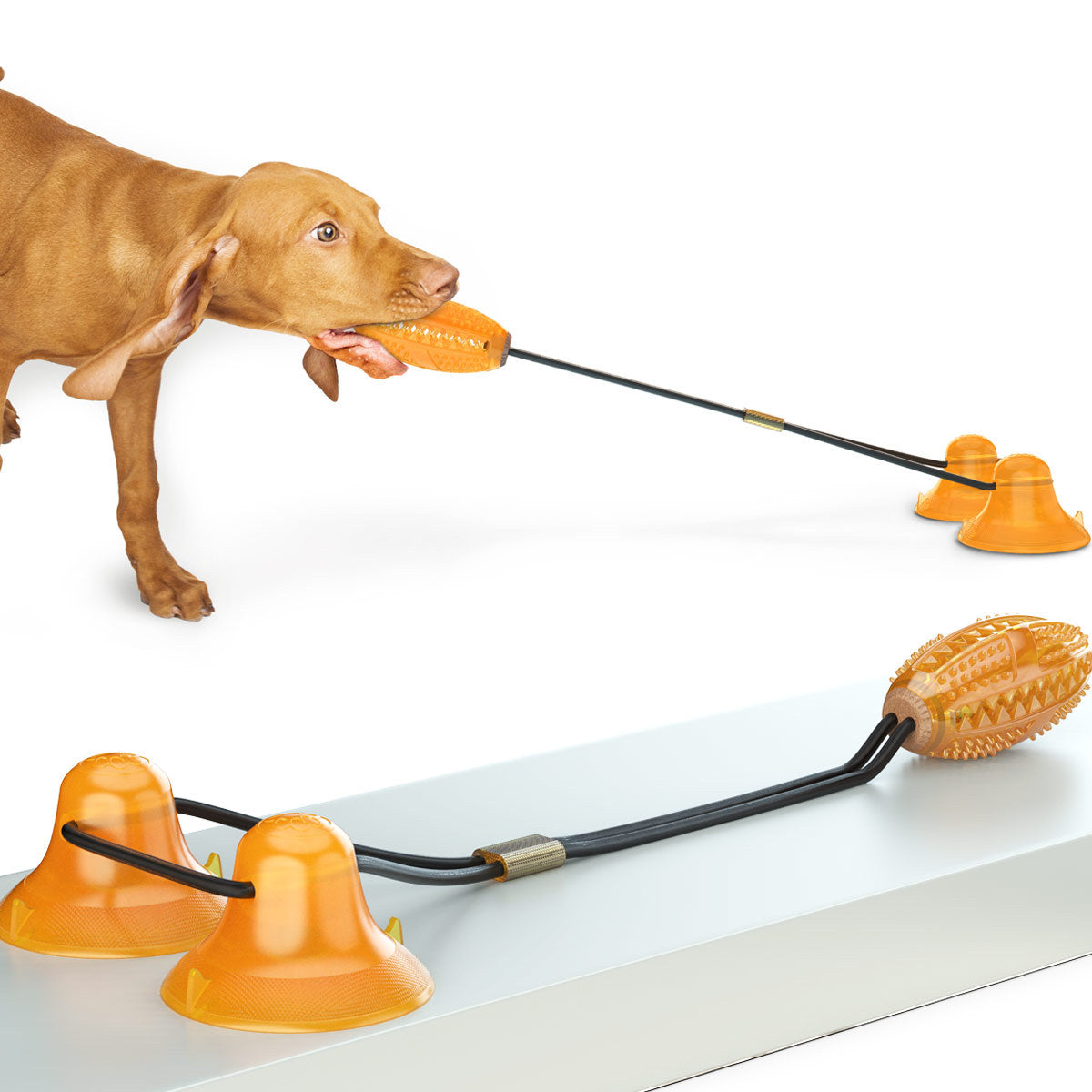 Multifunction Double Tug Rope and Bite Toy for Pets