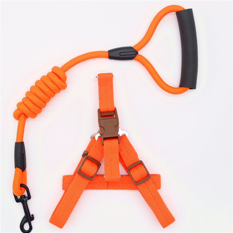 Pet Supplies Adjustable Durable Leash for Everyday Walking
