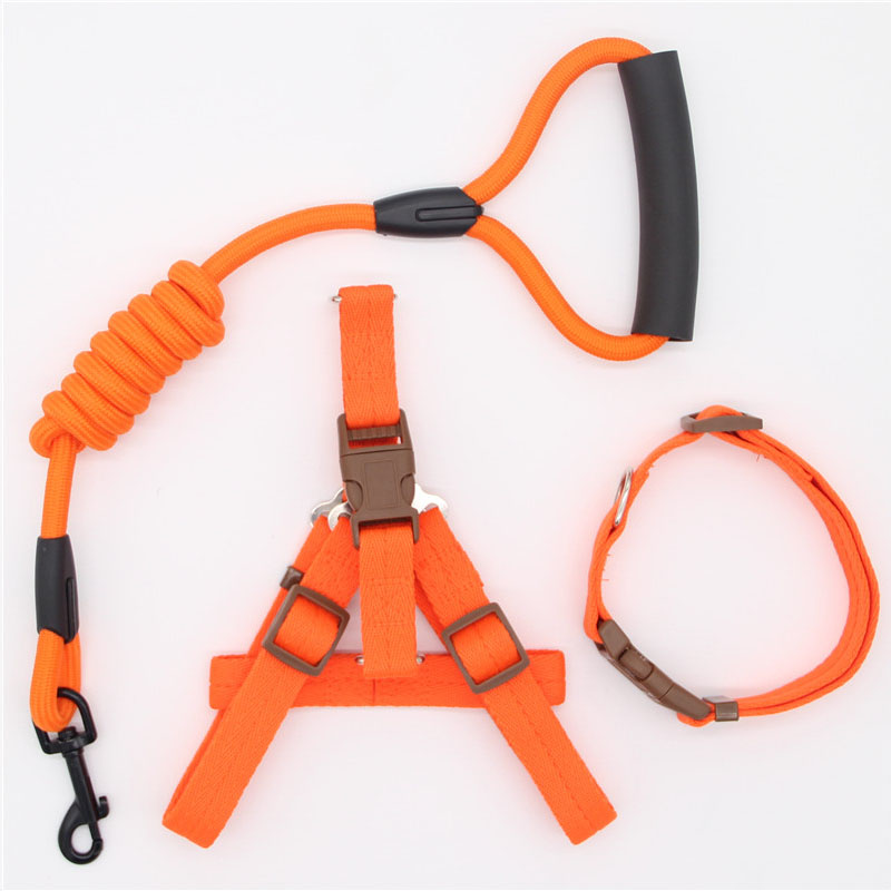 Pet Supplies Adjustable Durable Leash for Everyday Walking