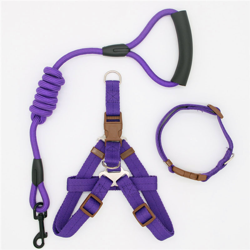 Pet Supplies Adjustable Durable Leash for Everyday Walking
