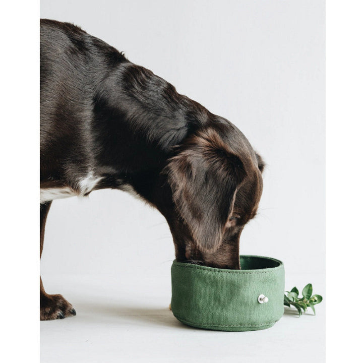 Foldable Canvas Feeding and Water Bowl for Pets Portable