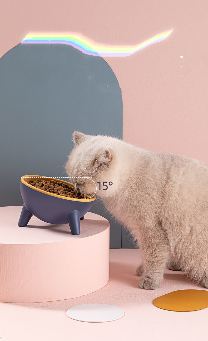 Pet Feeding Bowl with Stand for Dogs and Small Pets