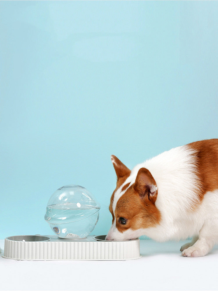 Automatic Pet Feeder And Water Dispenser Feeding Drinking Bowl
