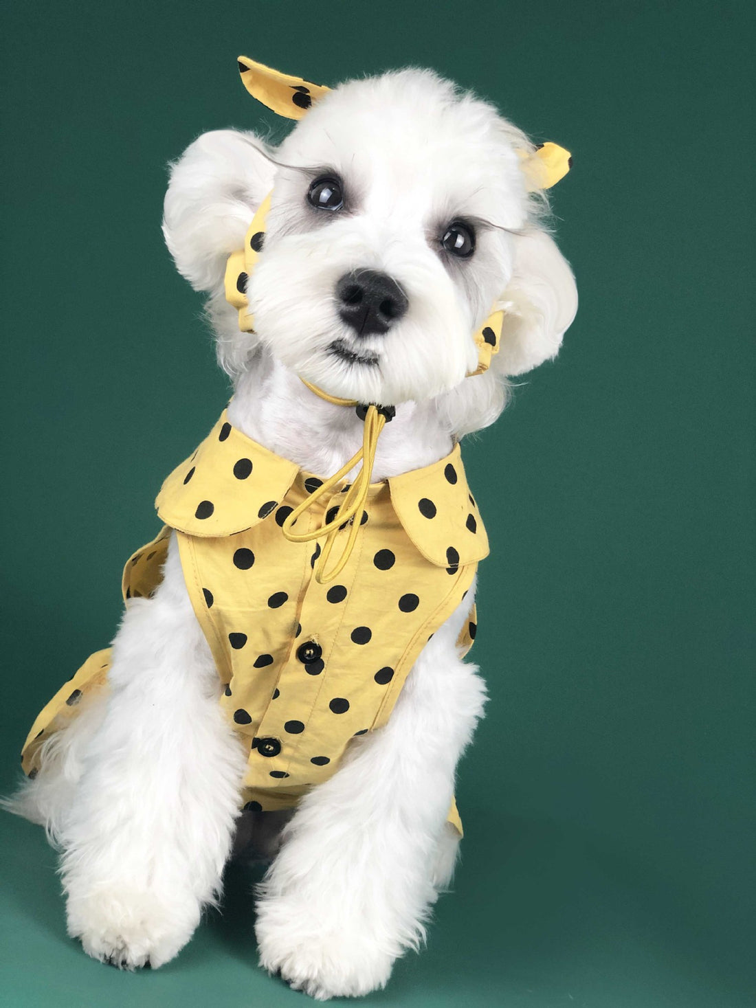 Summer Thin Cute Princess Dress For Pet Wear