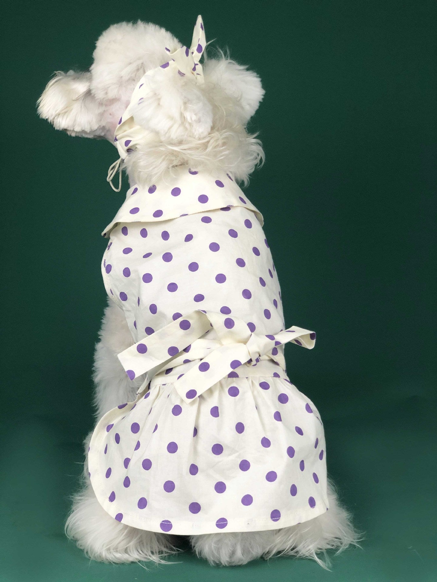 Summer Thin Cute Princess Dress For Pet Wear