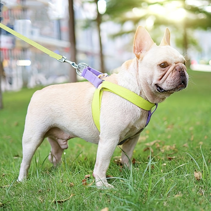 Rainbow Colorblock Pet Harness Set Anti Escape Vest Chest Leash