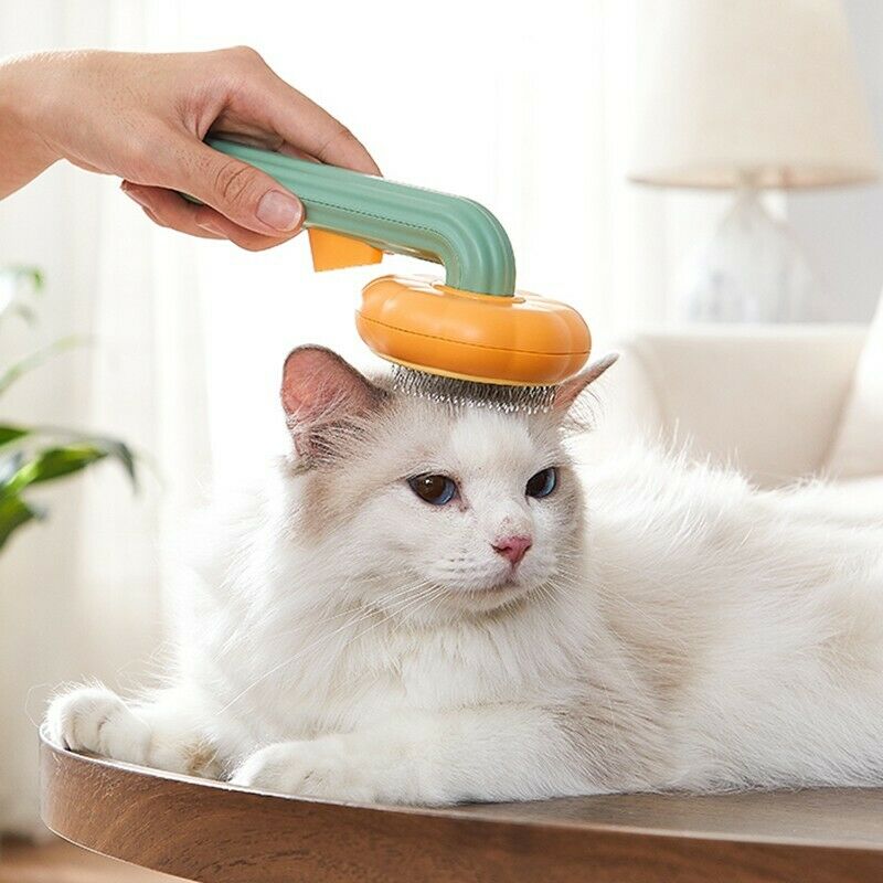 Pet Pumpkin Self-Cleaning Slicker Brush for Grooming Pets