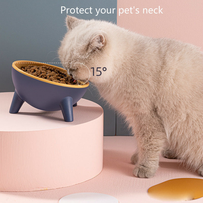Pet Feeding Bowl with Stand for Dogs and Small Pets