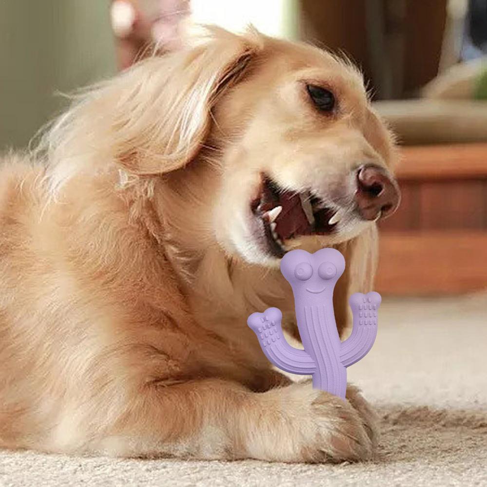 Ultra-Durable Cactus Chew Toys for Pets Interactive Fun