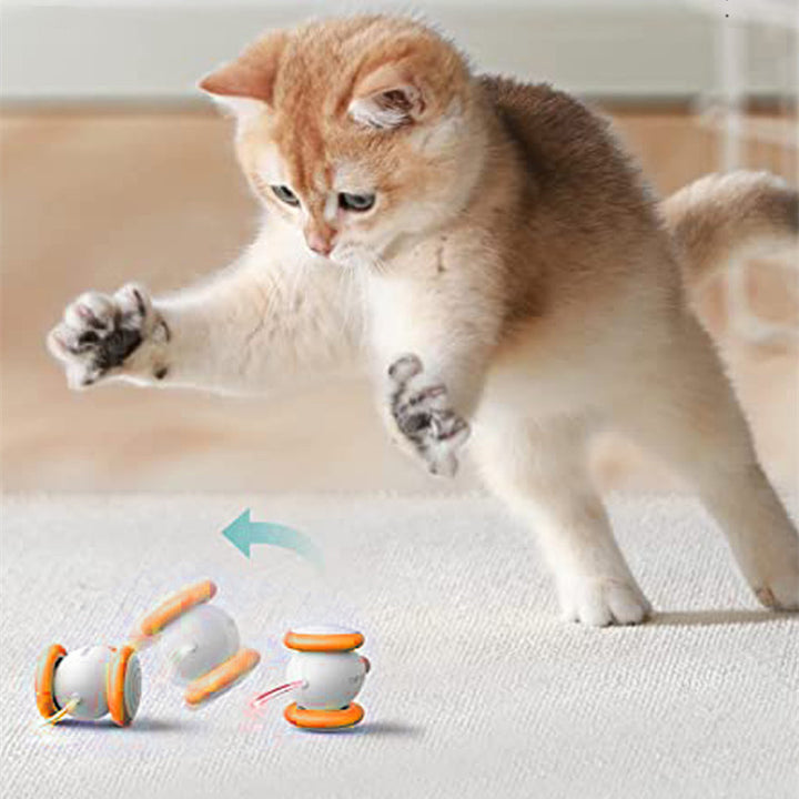 Electric Interactive Teasing Toys for Pets