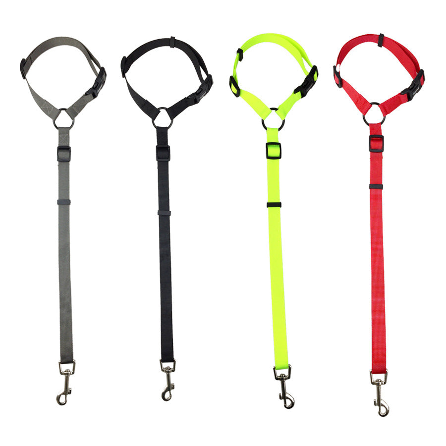 Pet Safety Control Leash Adjustable Walking Lead