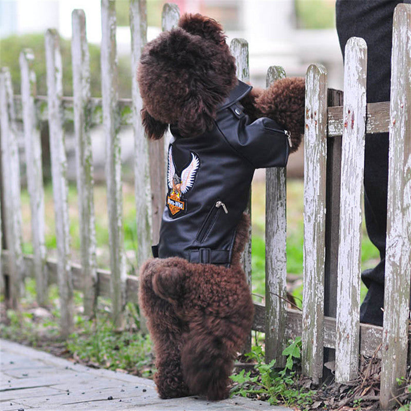 Embroidered Eagle Pet Leather Jacket Stylish Small Pet Apparel