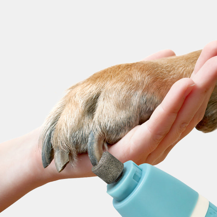 Pet Dual-Purpose Nail Polisher and Hair Trimmer for Pets