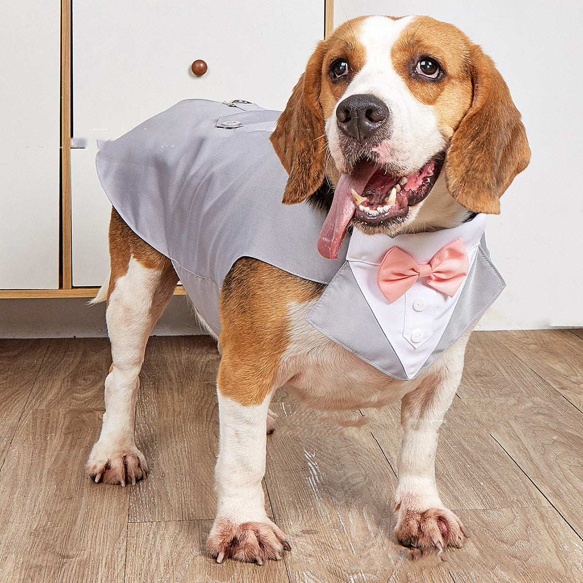 Pet Swallowtail Wedding Suit Jacket Formal Occasion Clothing