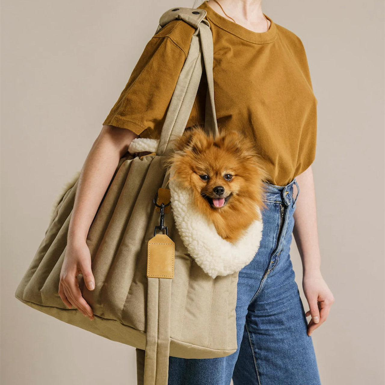 Lightweight Waterproof Pet Carrier Handbag Portable Fashion Travel Bag