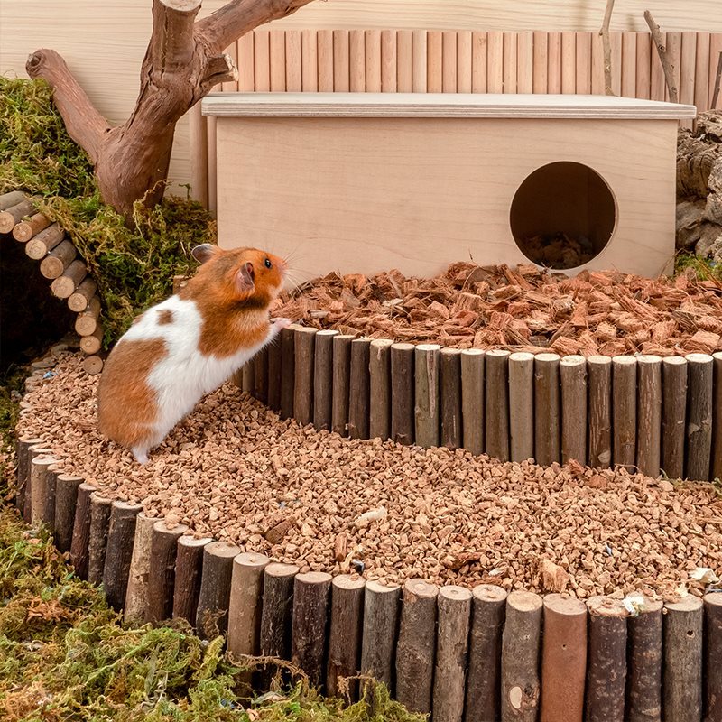 Oak Cork Hamster Bedding Dust Free Landscaping Supplies For Pet Care