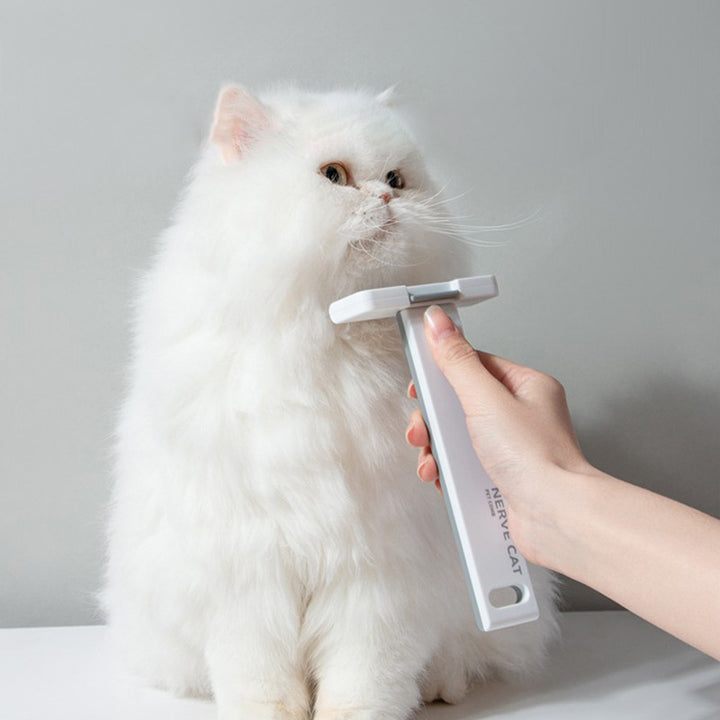 Floating Hair Removal Pet Grooming Tool For Pet Care