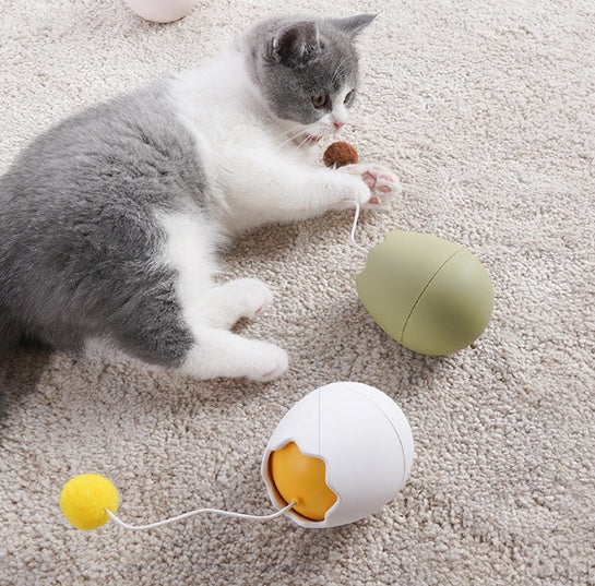 Fun Interactive Toys for Pets