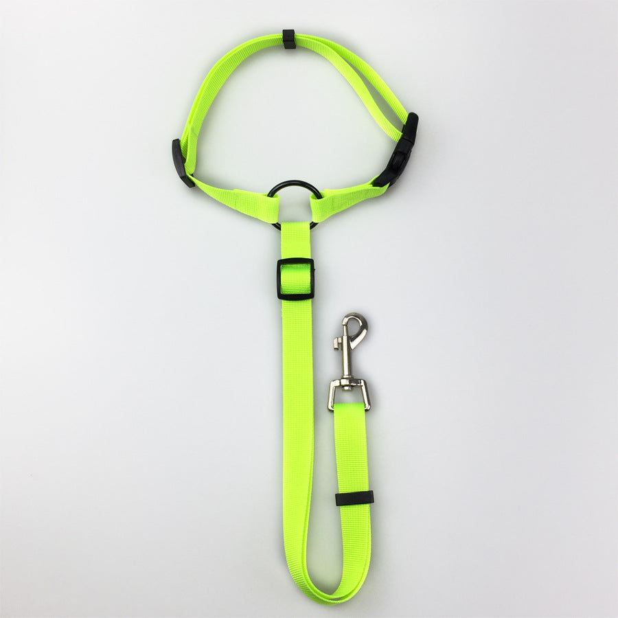 Pet Safety Control Leash Adjustable Walking Lead