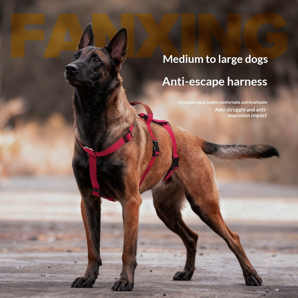 Anti Pull Pet Harness Leash For Medium Large Pets