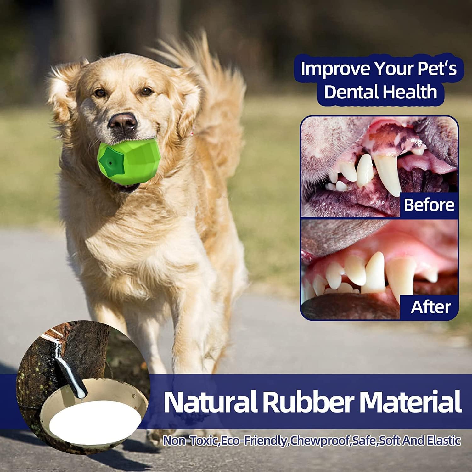 Interactive Squeaky Pet Chew Toy Rubber Dental Ball